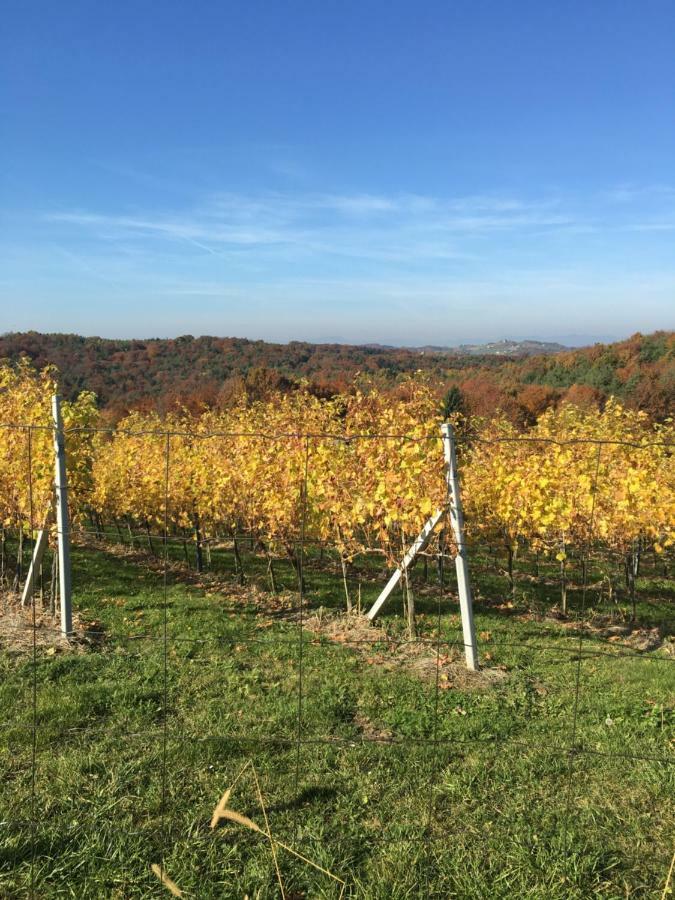 Riegler'S Buschenschank Loipersdorf bei Fuerstenfeld Ngoại thất bức ảnh